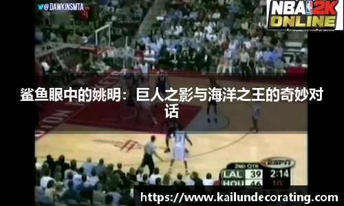 鲨鱼眼中的姚明：巨人之影与海洋之王的奇妙对话